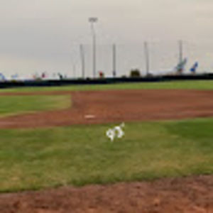 Meet your Posher, Mike